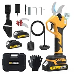 Secateur electrique profession d'occasion  Livré partout en France