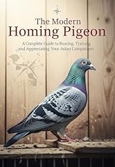 Modern homing pigeon for sale  Delivered anywhere in UK