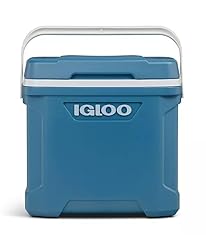 Igloos quart cooler for sale  Delivered anywhere in USA 