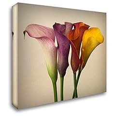 Artdirect four calla for sale  Delivered anywhere in USA 