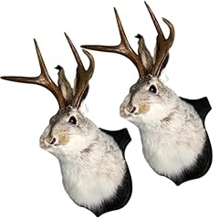 Giltpeak jackalope wall for sale  Delivered anywhere in USA 