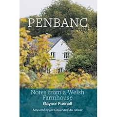Penbanc notes welsh for sale  Delivered anywhere in UK