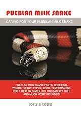 Pueblan milk snake for sale  Delivered anywhere in UK
