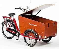 Bakfiets cargo trike gebraucht kaufen  Wird an jeden Ort in Deutschland