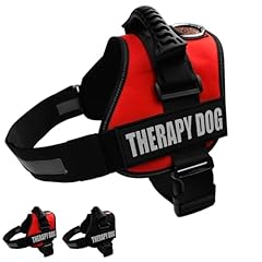 Albcorp reflective therapy for sale  Delivered anywhere in USA 