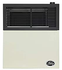 Ashley Hearth DVAG11N 11,000 BTU Direct Vent Natural for sale  Delivered anywhere in Canada