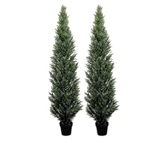 Foot pre potted for sale  Delivered anywhere in USA 