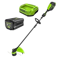 Greenworks 80v carbon for sale  Delivered anywhere in USA 