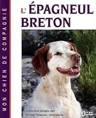 Epagneul breton d'occasion  Livré partout en France