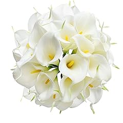 Hovebeaty calla lily for sale  Delivered anywhere in USA 