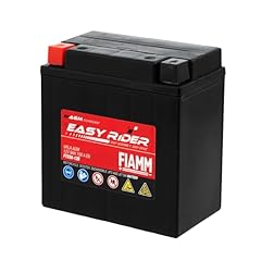 Fiamm batteria per usato  Spedito ovunque in Italia 
