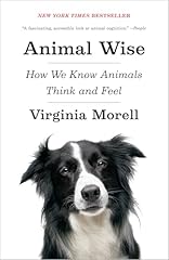 Animal wise how usato  Spedito ovunque in Italia 