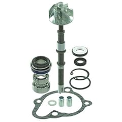 Kit revisione pompa usato  Spedito ovunque in Italia 