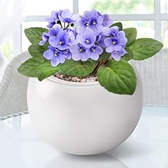 Self watering ceramic for sale  Delivered anywhere in USA 