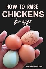 Raise chickens eggs for sale  Delivered anywhere in USA 