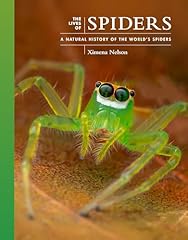 Lives spiders natural for sale  Delivered anywhere in UK