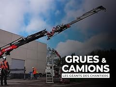 Grues camions géants d'occasion  Livré partout en France