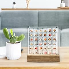 Seashell display case for sale  Delivered anywhere in USA 