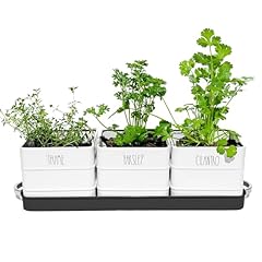 Zestigreens herb pot for sale  Delivered anywhere in USA 