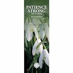 Patience strong slim for sale  Delivered anywhere in UK
