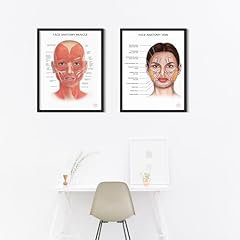 Allstarmedia human face for sale  Delivered anywhere in UK