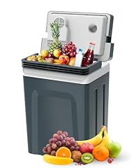 Subsun electric cooler for sale  Delivered anywhere in USA 