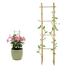 Colotime 3pack bamboo for sale  Delivered anywhere in USA 