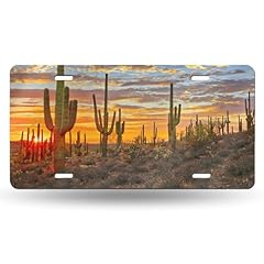 Saguaro cactus arizona for sale  Delivered anywhere in USA 