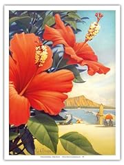 Hibiscus beach day for sale  Delivered anywhere in USA 