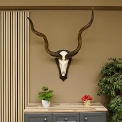Kudu antilope horn d'occasion  Livré partout en France