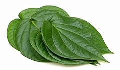 Betel leaves fresh for sale  Delivered anywhere in Ireland