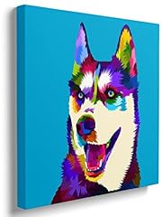 Siberian husky pop for sale  Delivered anywhere in USA 