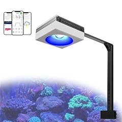 Popbloom rl90 wifi for sale  Delivered anywhere in UK