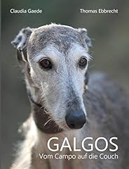 Galgos vom campo gebraucht kaufen  Wird an jeden Ort in Deutschland