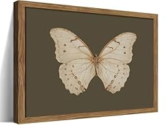 Vintage butterfly framed for sale  Delivered anywhere in USA 