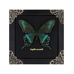 Birthday gift women for sale  Delivered anywhere in USA 