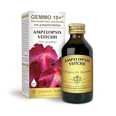 Giorgini integratore alimentar usato  Spedito ovunque in Italia 