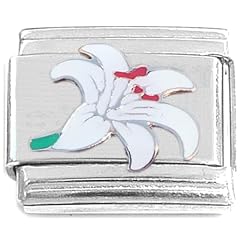 White lily flower for sale  Delivered anywhere in USA 