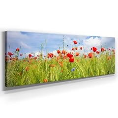 Panorama leinwand mohn gebraucht kaufen  Wird an jeden Ort in Deutschland