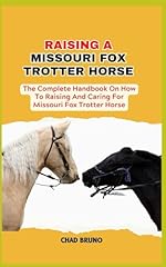 Missouri fox trotter for sale  Delivered anywhere in USA 
