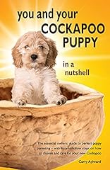 Cockapoo puppy nutshell for sale  Delivered anywhere in USA 