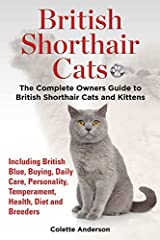 British shorthair cats d'occasion  Livré partout en Belgiqu