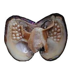 Oyster pearls monster for sale  Delivered anywhere in USA 