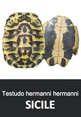 Testudo hermanni hermanni gebraucht kaufen  Wird an jeden Ort in Deutschland