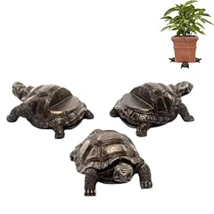 3pcs tortoise plant for sale  Delivered anywhere in UK