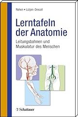 Lerntafeln anatomie leitungsba gebraucht kaufen  Wird an jeden Ort in Deutschland