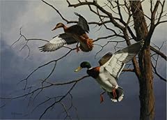 David maass mallard for sale  Delivered anywhere in USA 