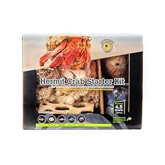 Galápagos hermit crab for sale  Delivered anywhere in USA 