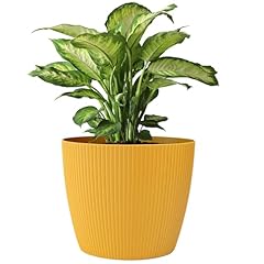 Konzept blumentopf gerillte gebraucht kaufen  Wird an jeden Ort in Deutschland