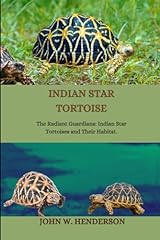 Indian star tortoise for sale  Delivered anywhere in USA 